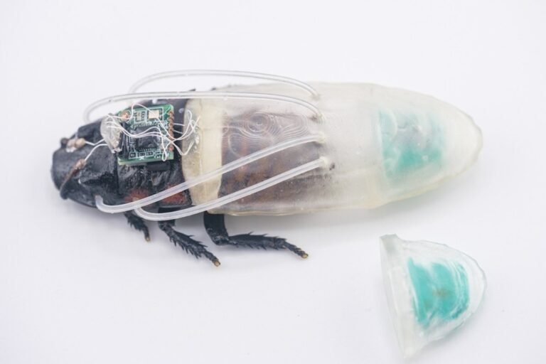 Swarm of Cyborg Remote Controlled Cockroaches Gains New Power
