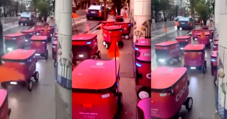 Bizarre Glitch Causes Delivery Robots to Swarm Busy City Sidewalk