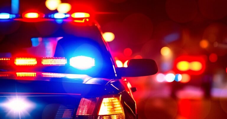 Anthropic Reports User to the Police