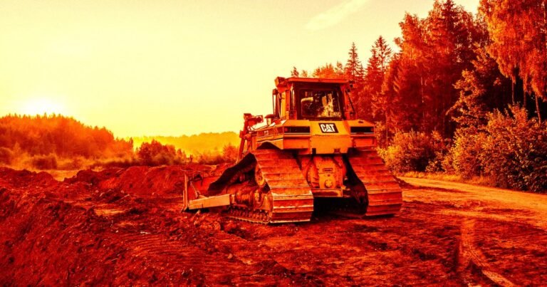 Google Accused of Illegally Killing a Massive Forest for Its New Data Center Project