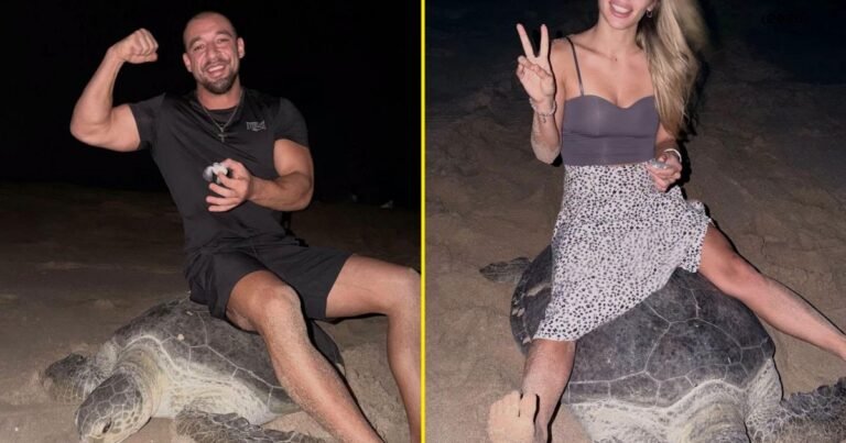 In Case You Still Have Faith in Humanity, Here’s an Influencer “Riding” a Sea Turtle While It Tries to Lay Eggs